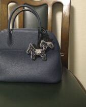 大中のバッグにつけた違い